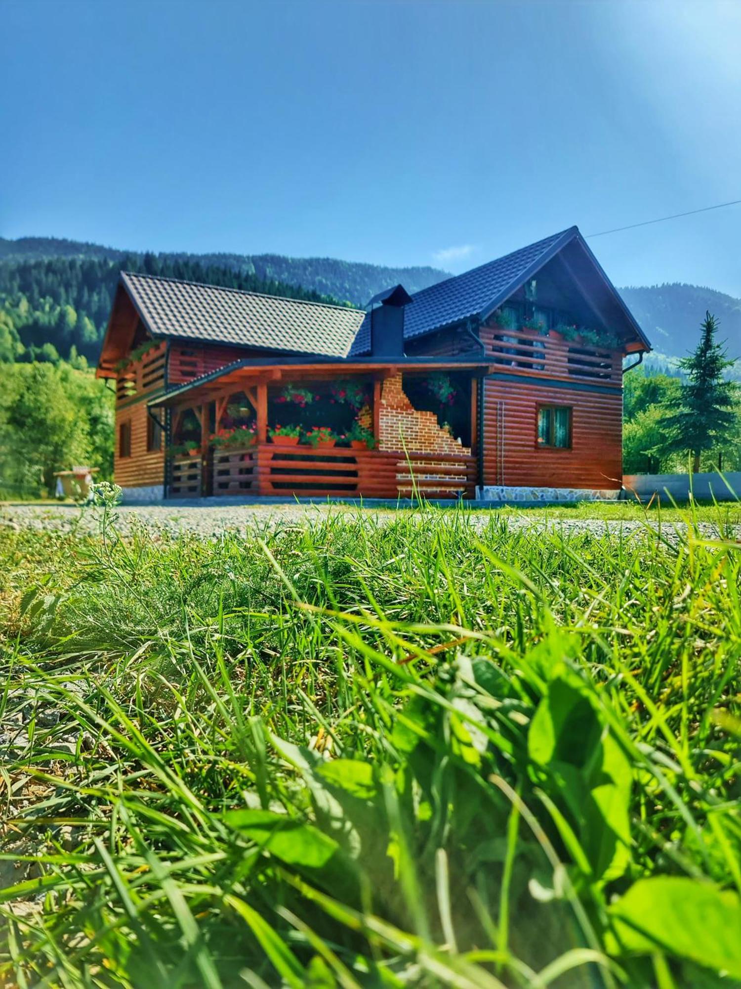 Cabana Dintre Munti Vidra  Экстерьер фото