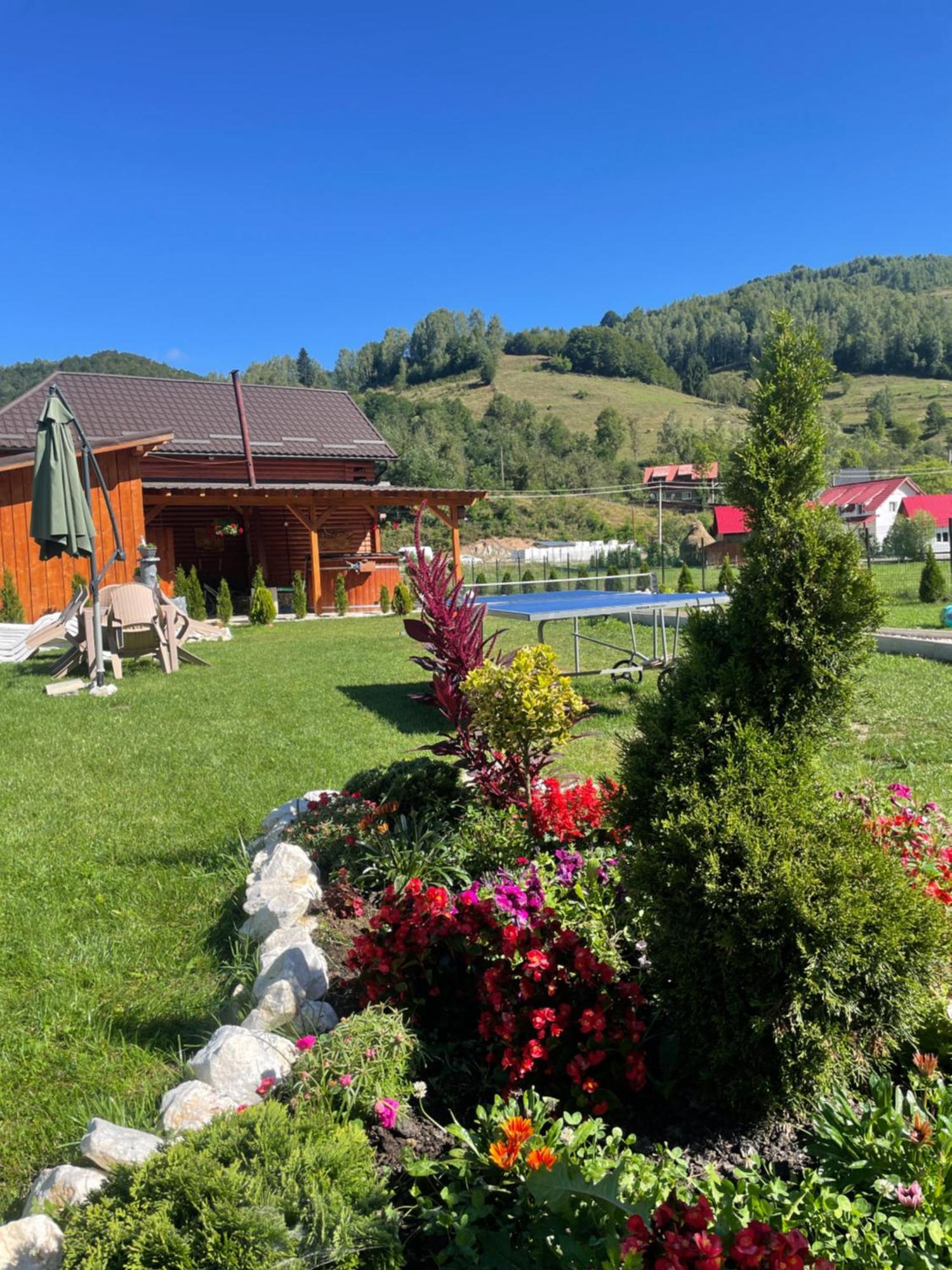 Cabana Dintre Munti Vidra  Экстерьер фото